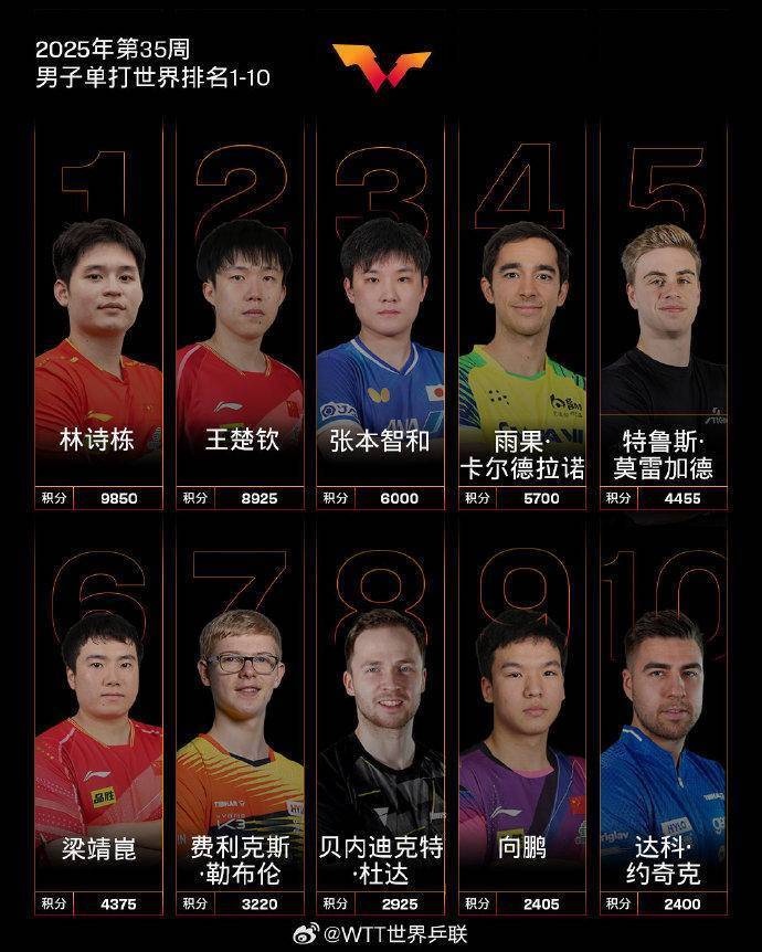 女单四强石 女单四强石