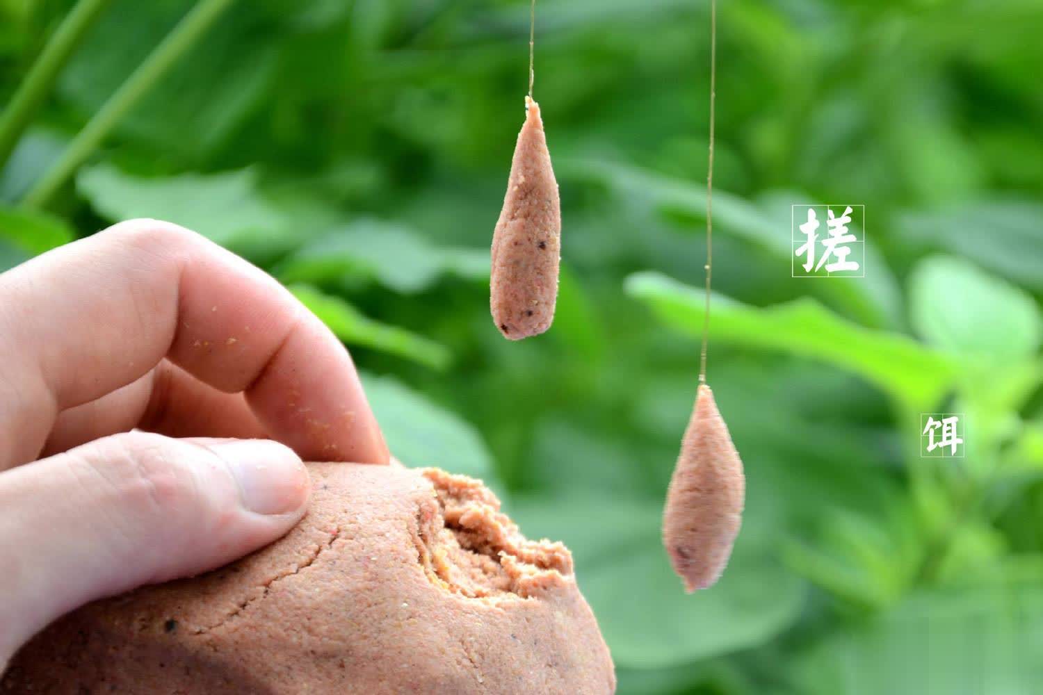 各种鱼类皆 各种鱼类皆